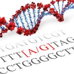 CHRNA3 SNP