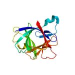 Salivary IL-1 Beta