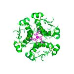 Salivary Insulin
