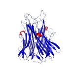 Salivary TNF-Alpha